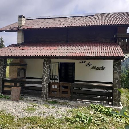 La Cabana Băile Borşa Exterior foto